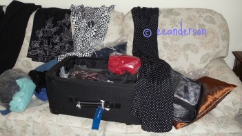 Travel packing